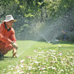 Protege tu césped del sol: consejos para un cuidado eficaz