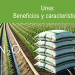 Sulfato o urea: la mejor elección para tus cultivos
