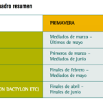 Temporadas ideales para sembrar grama: consejos útiles