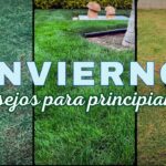 Tips para mantener un pasto verde durante el invierno