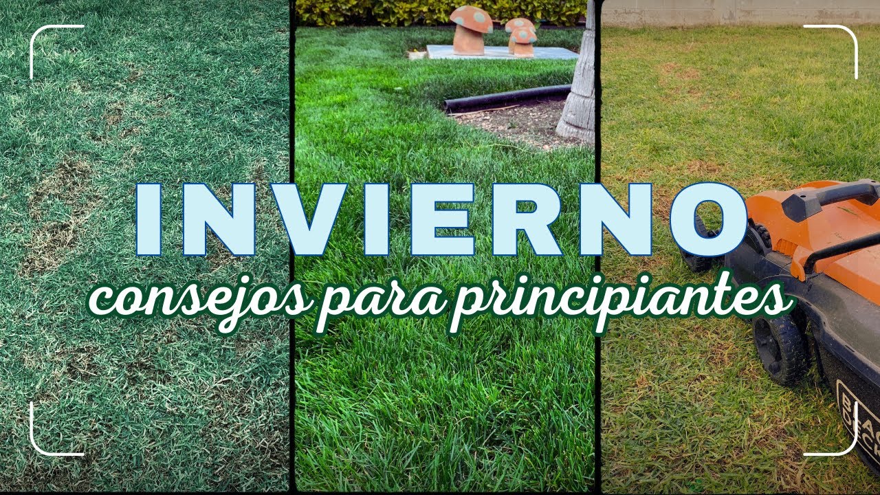 Tips para mantener un pasto verde durante el invierno