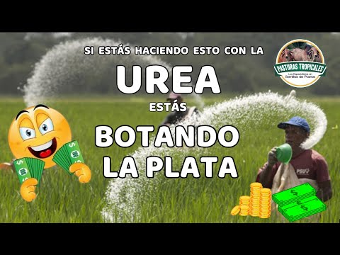 Urea en el césped: riesgos para la salud y prevención
