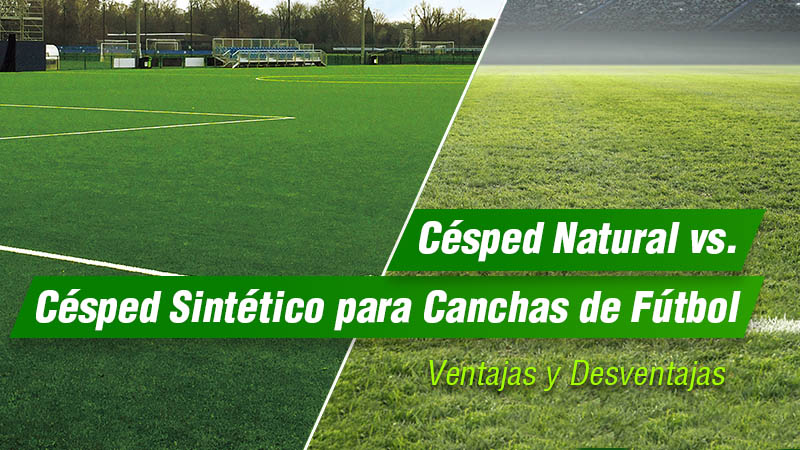 Variedades de pasto para canchas de fútbol ideales