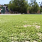Ventajas de aplicar arena en el césped artificial