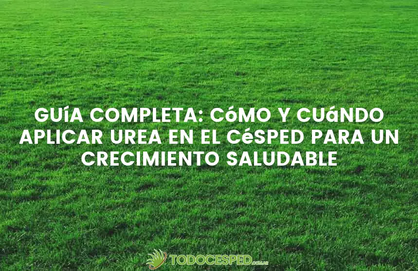 Ventajas de la urea en el cuidado del césped
