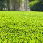 Vida útil del césped artificial expuesto al sol: lo esencial