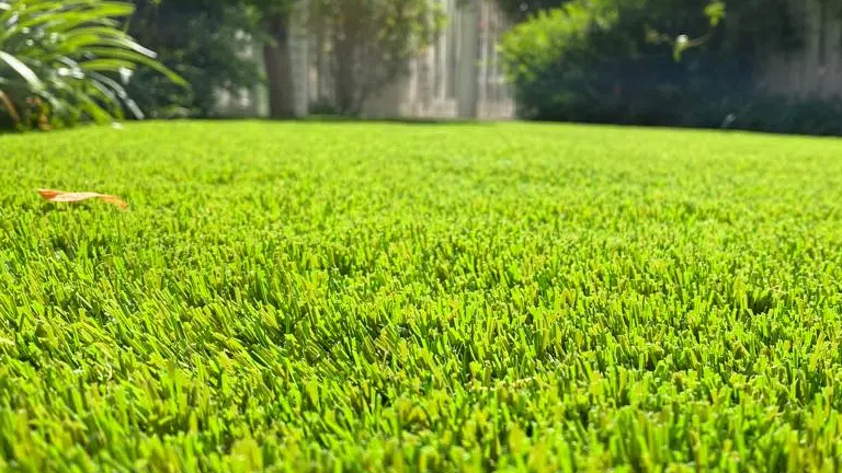 Vida útil del césped artificial expuesto al sol: lo esencial