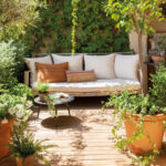 Alternativas efectivas para zonas sin césped saludable