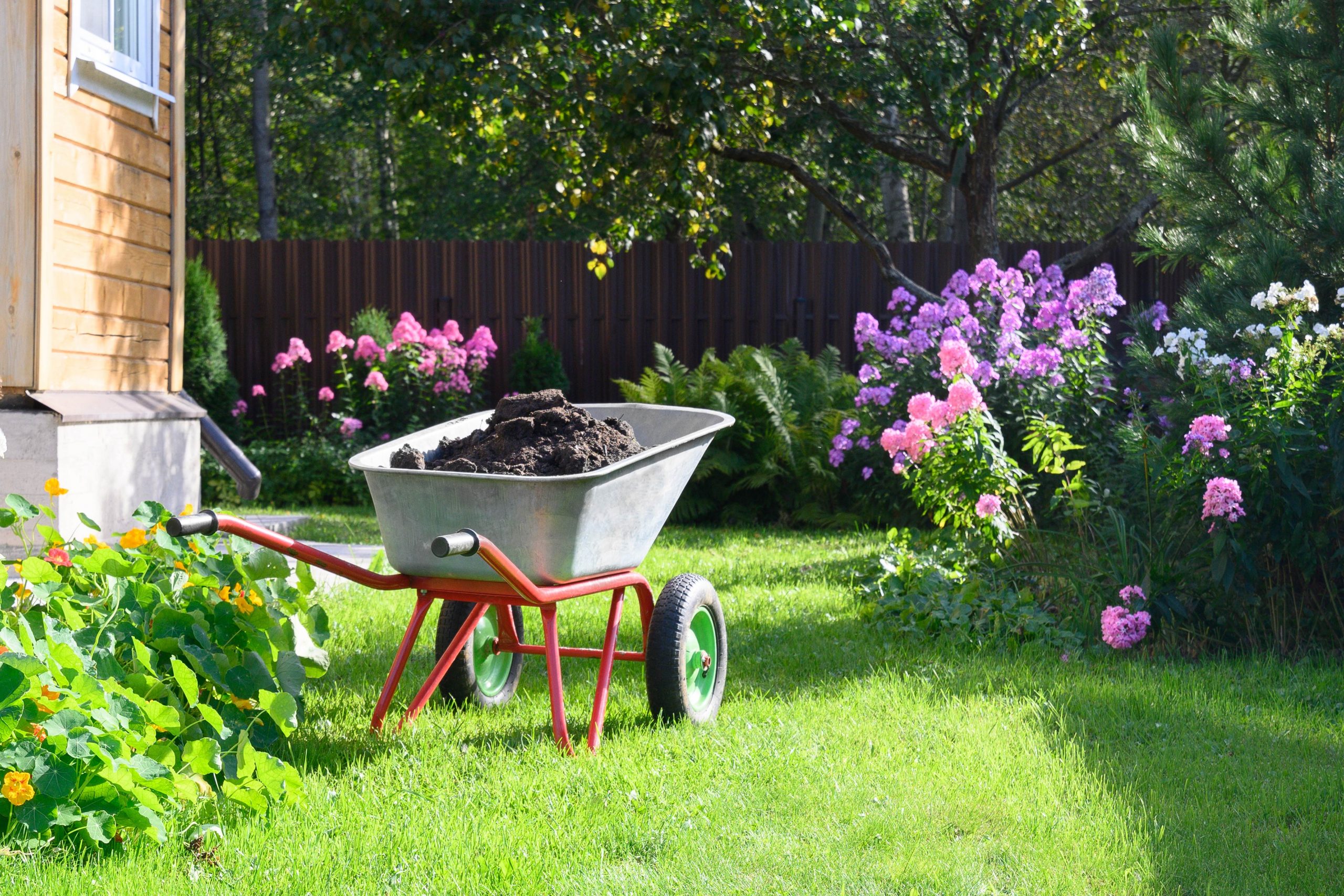 Claves para un césped saludable y deslumbrante en tu jardín