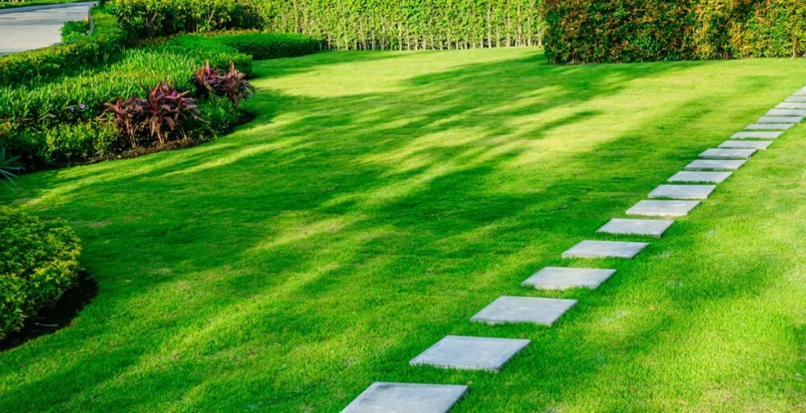 Elige el mejor mes para sembrar césped en tu jardín