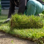 Elige el mejor pasto en rollo para tu jardín