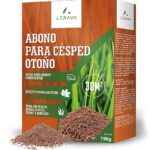 Fertilizantes ideales para césped en temporada invernal