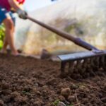 Guía definitiva para preparar la tierra antes de sembrar césped
