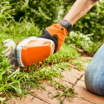 Guía práctica para el corte ideal del césped