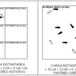 Número ideal de vacas para 2 hectáreas