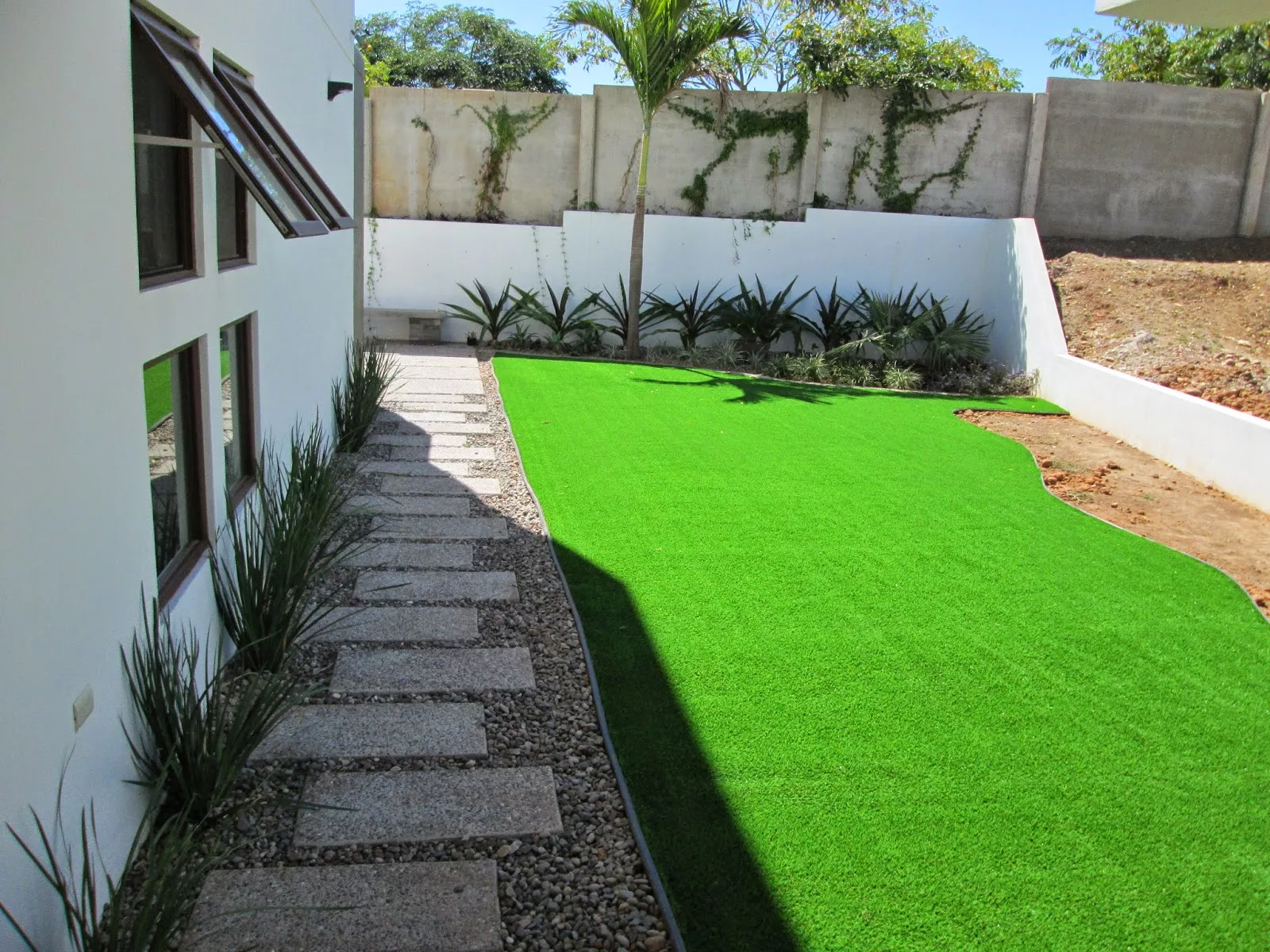 Pasto ideal para zonas con baja exposición solar