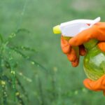 Ventajas del vinagre para el cuidado del césped